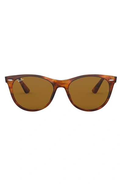 Ray Ban 55mm Round Wayfarer Sunglasses In Striped Havana