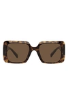 Versace 54mm Rectangle Sunglasses In Havana/ Dark Brown