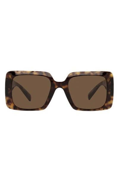 Versace 54mm Rectangle Sunglasses In Havana/ Dark Brown