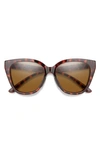 Smith Era 55mm Chromapop(tm) Polarized Cat Eye Sunglasses In Tortoise/ Chromapop Brown
