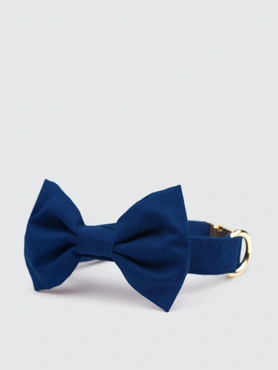 The Foggy Dog Ocean Bow Tie Collar In Blue