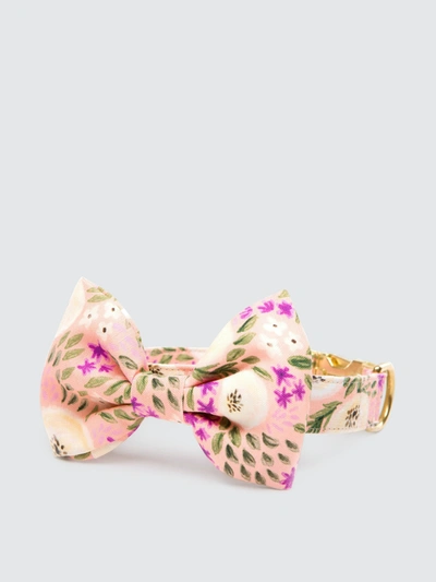 The Foggy Dog Harper Floral Bow Tie Collar In White