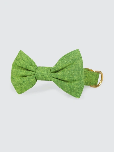 The Foggy Dog Palm Bow Tie Collar In Green