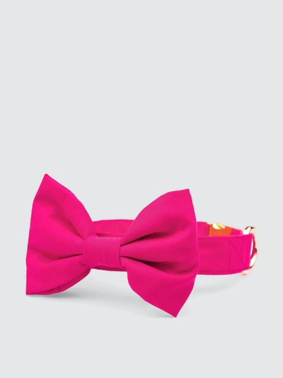 The Foggy Dog Hot Pink Bow Tie Collar
