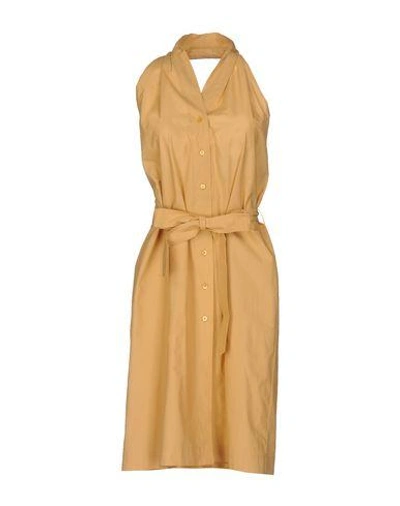Moschino Knee-length Dresses In Camel