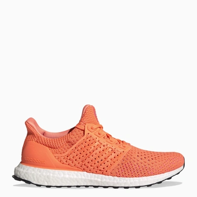 Adidas Originals Orange Ultraboost Clima Dna Sneakers In Screaming Orange