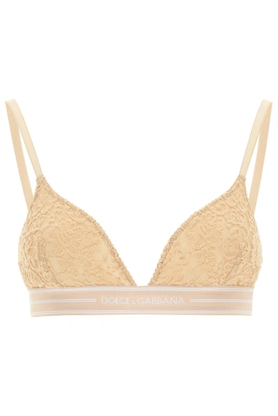 Dolce & Gabbana Jacquard-trimmed Stretch-lace Soft-cup Bra In Beige