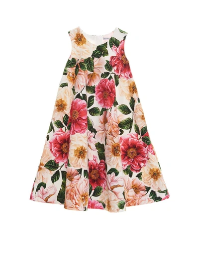 Dolce & Gabbana Jr Kids' Camellias Print Dress In Multicolor