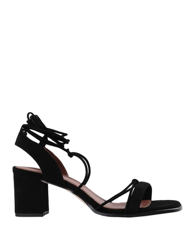 Alohas Sandals In Black