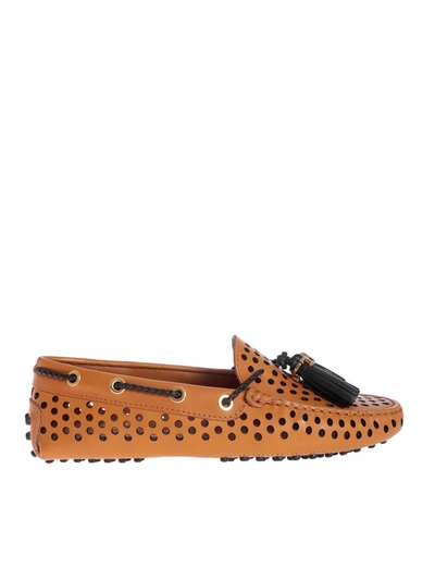Tod's Drilled Loafers In Brown In Camel
