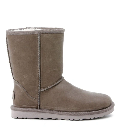 Ugg Classic Short Boots In Grey Stressed Leather In Grigio