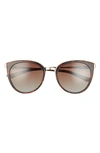 Smith Somerset 53mm Polarized Cat Eye Sunglasses In Tort/ Brown Gradient