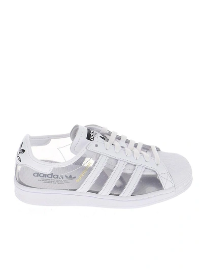 Adidas Originals Mens  Superstar In White