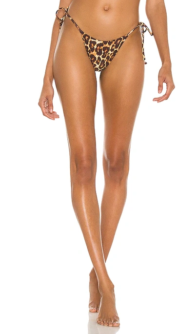 Tropic Of C Praia Bikini Bottom In Beige,brown