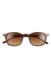 Salt Quinn 50mm Polarized Sunglasses In Coffee Black/ Brown