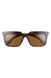 Burberry 56mm Square Sunglasses In Dark Havana/ Brown