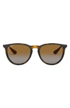 Ray Ban 54mm Polarized Gradient Round Sunglasses In Havana