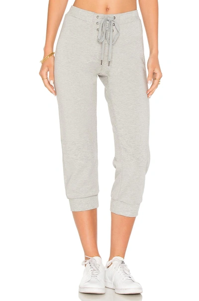 David Lerner Cropped Trackpant In Gray