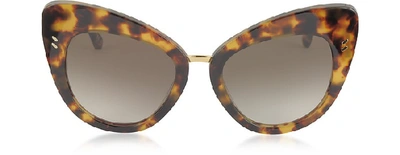 Stella Mccartney Oversize Cat Eye Sunglasses In Marrone