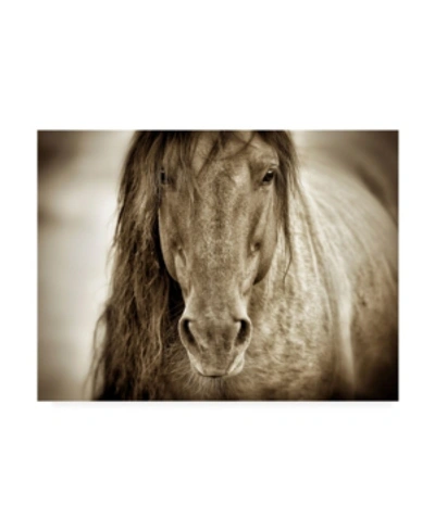 Trademark Global Lisa Dearin Mustang Sally Horse Canvas Art In Multi