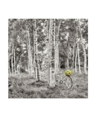 Trademark Global Alan Blaustein Sunflower Bicycle Ride Canvas Art In Multi