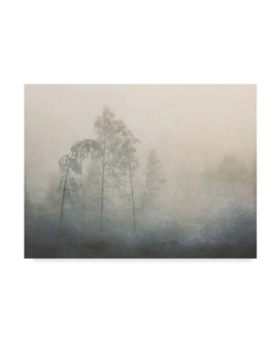 Trademark Global Asmund Kvarnstrom Tree Fog Canvas Art In Multi