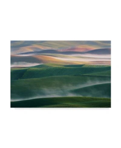Trademark Global Austin Foggy Morning Landscape Canvas Art In Multi