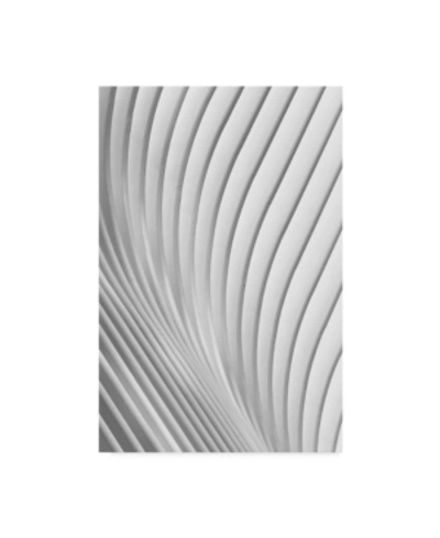 Trademark Global Christopher Budny Calatrava Lines Canvas Art In Multi