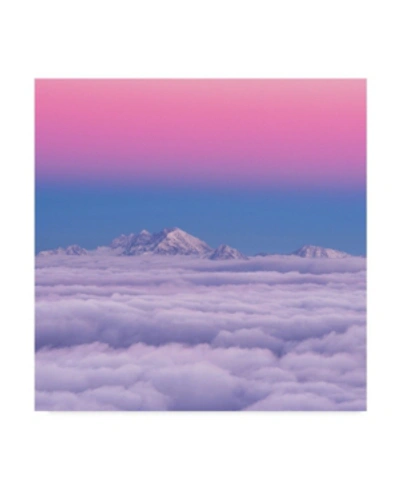 Trademark Global Ales Krivec Pink In The Sky Mountains Canvas Art In Multi