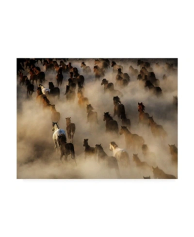 Trademark Global Mehmet Bedir Wild Horses Fog Canvas Art In Multi