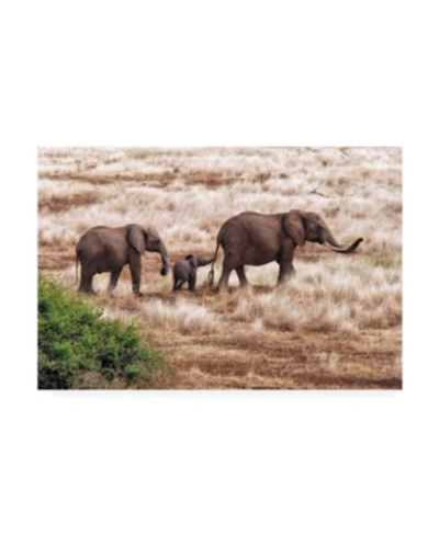 Trademark Global Izonevision Robert D Abramson Elephant Family Tanzania Canvas Art In Multi