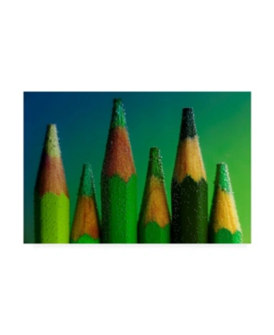 Trademark Global Aida Ianeva Green Pencils Canvas Art In Multi