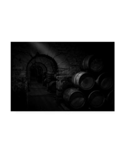 Trademark Global Martin Zalba Wine Cellar Canvas Art In Multi