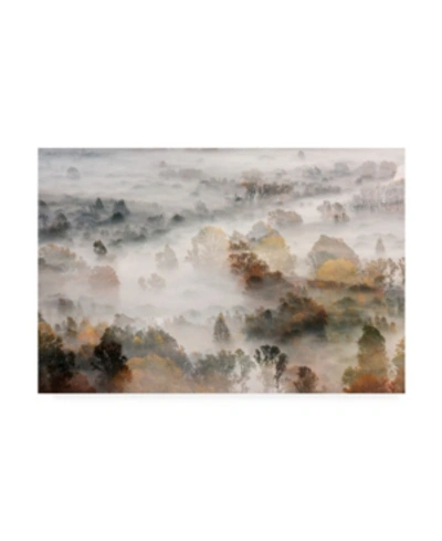 Trademark Global Roberto Marini Autumn's Canvas Art In Multi