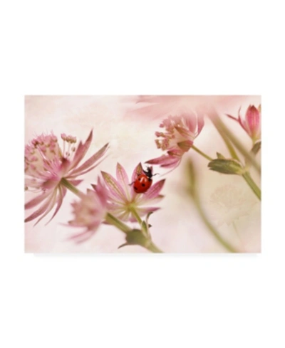 Trademark Global Ellen Van Deelen Ladybird And Pink Flowers Canvas Art In Multi