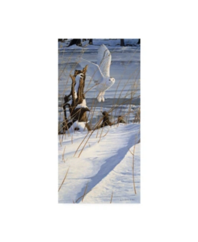 Trademark Global Michael Budden Great White Hunter Canvas Art In Multi