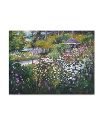 Trademark Global David Lloyd Glover Spring Garden Gazebo Canvas Art In Multi