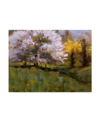 Trademark Global Michael Budden Spring Flowers Blossoming Canvas Art In Multi