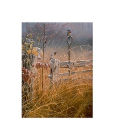 Trademark Global Michael Budden Autumn Mist Overgrown Canvas Art In Multi