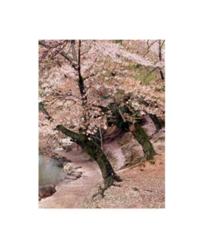 Trademark Global Monte Nagler Cherry Blossom Lane Canvas Art In Multi