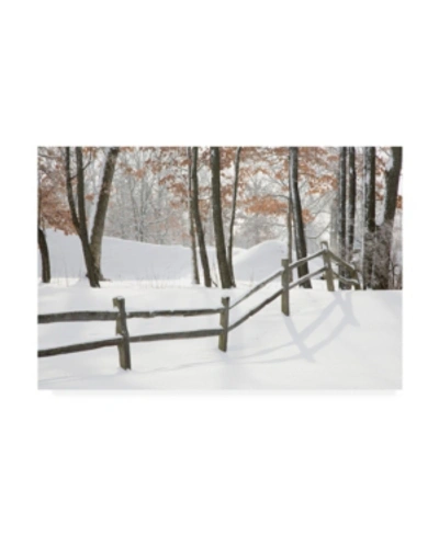 Trademark Global Monte Nagler Winter Fence And Shadow Farmington Hills Michigan Canvas Art In Multi