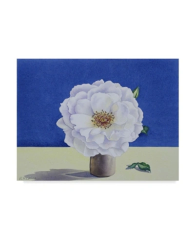 Trademark Global Christopher Ryland White Rose, 2018 Canvas Art In Multi