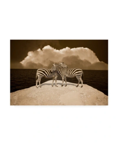 Trademark Global Monte Nagler Two Zebras Port Austin Mi Canvas Art In Multi