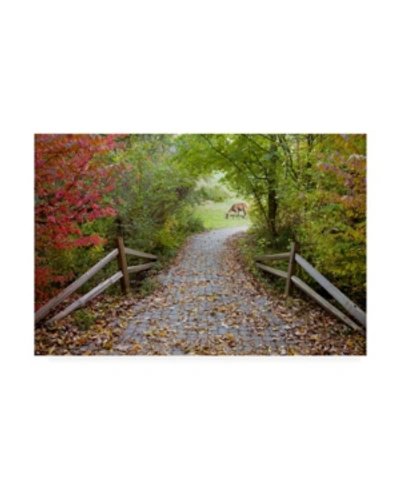 Trademark Global Monte Nagler Deer In The Woods Farmington Hills Michigan Canvas Art In Multi