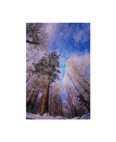 Trademark Global Philippe Sainte-laudy Let It Snow Trees Canvas Art In Multi
