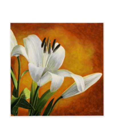 Trademark Global Pablo Esteban White Flower Over Orange Light 2 Canvas Art In Multi