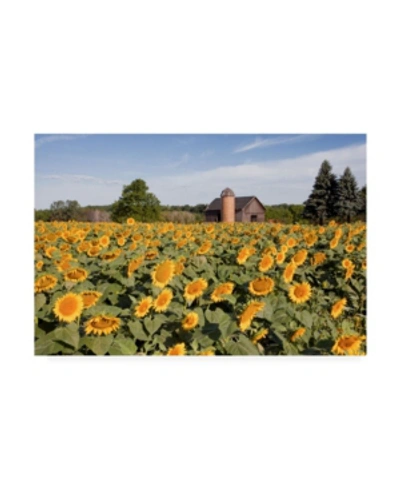 Trademark Global Monte Nagler Sunflowers And Barn Owosso Mi Canvas Art In Multi