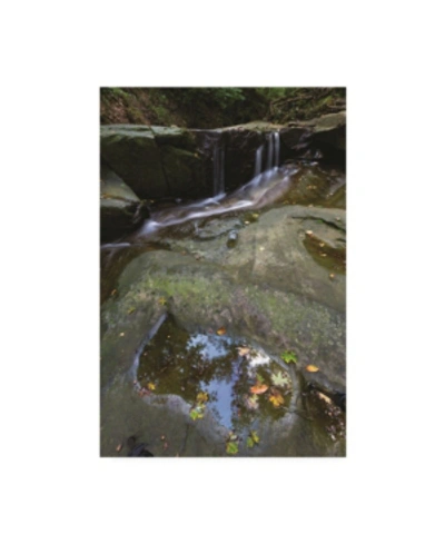 Trademark Global Kurt Shaffer Reflecting By The Waterfall Canvas Art In Multi