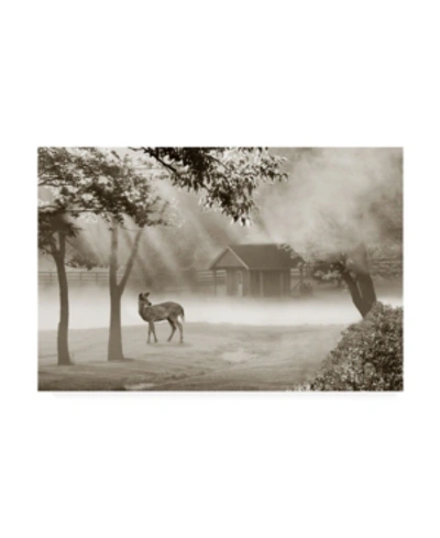 Trademark Global Monte Nagler Deer In Morning Mist Canvas Art In Multi