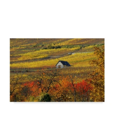 Trademark Global Philippe Sainte-laudy The House Of Vines Canvas Art In Multi